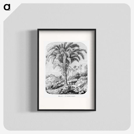 1-98_Les-Palmiers-Histoire-Iconographique_blk