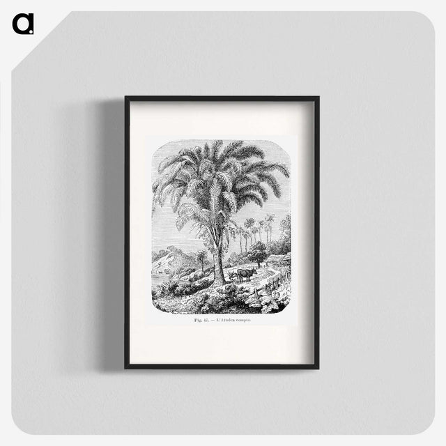 1-98_Les-Palmiers-Histoire-Iconographique_blk