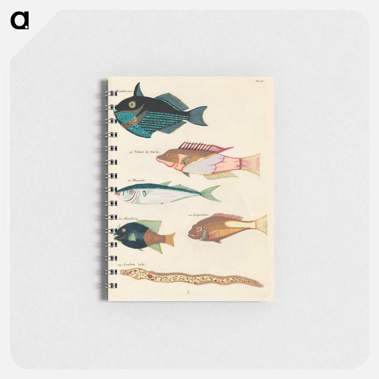Moluccan Fishes
 - ルイ ルナール Memo.