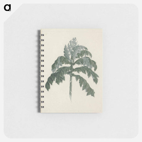 アートメモ帳-Senecio Gigas Shoot
 - ルイージ バルガーニ Memo.