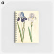 アートメモ帳-Garden Iris
 - マリア ジビーラ メーリアン Memo.