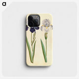 1-98_Maria-Sibylla-Merian_phone