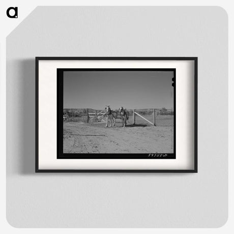 1-98_Marion-Post-Wolcott_blk