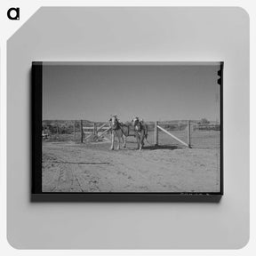 1-98_Marion-Post-Wolcott_canvas