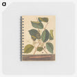 1-98_Mark-Catesby_memo