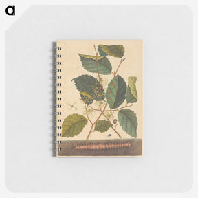 1-98_Mark-Catesby_memo