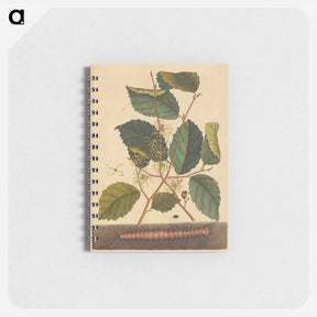 アートメモ帳-Centipede
 - マーク ケイツビー Memo.