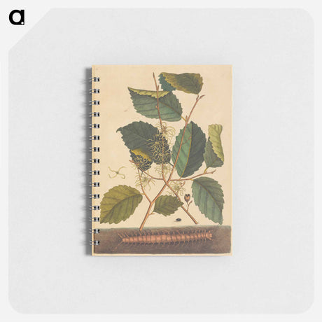 アートメモ帳-Centipede
 - マーク ケイツビー Memo.