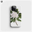 1-98_Mary-Vaux-Walcott_phone