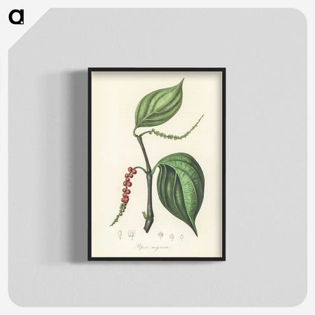 1-98_Medical-Botany_blk-crop