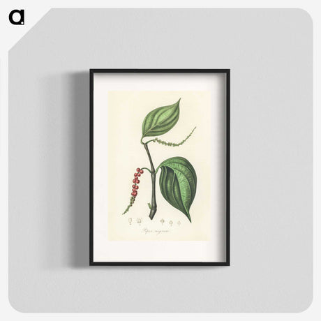 1-98_Medical-Botany_blk