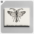 1-98_Moths-and-Butterflies-of-the-United-States_canvas