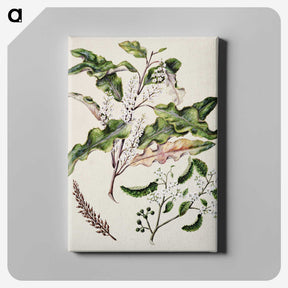 1-98_Native-Flowering-Plants-of-New-Zealand_canvas