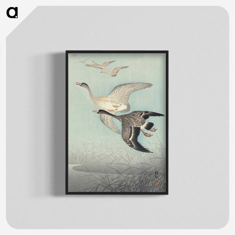 1-98_Ohara-Koson_blk-crop