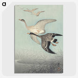 1-98_Ohara-Koson_picture-crop