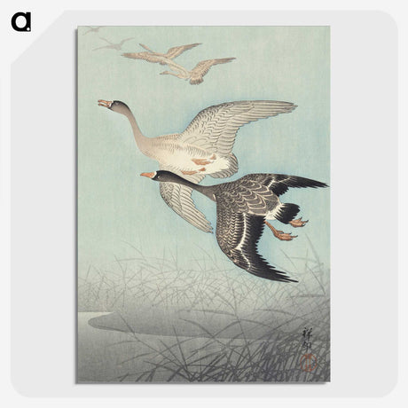 1-98_Ohara-Koson_picture-crop