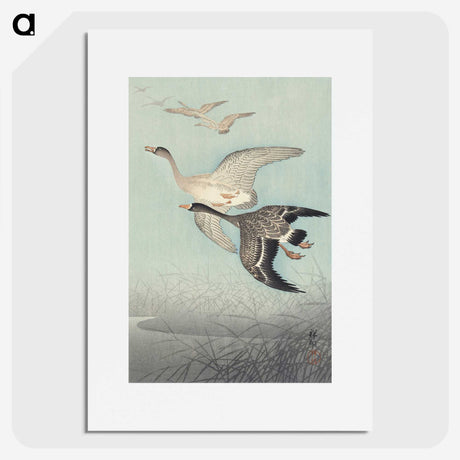 1-98_Ohara-Koson_picture