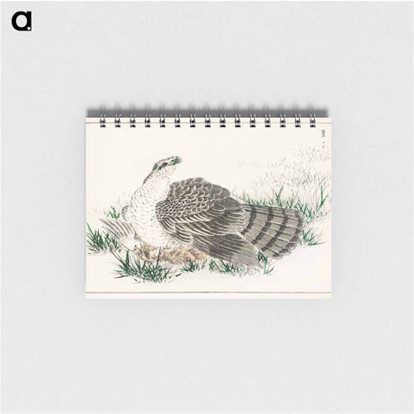 アートメモ帳-Japanese Hawk-Eagle Illustration
 - 鳥類図鑑 Memo.