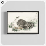 1-98_Pictorial-Monograph-of-Birds_blk-crop