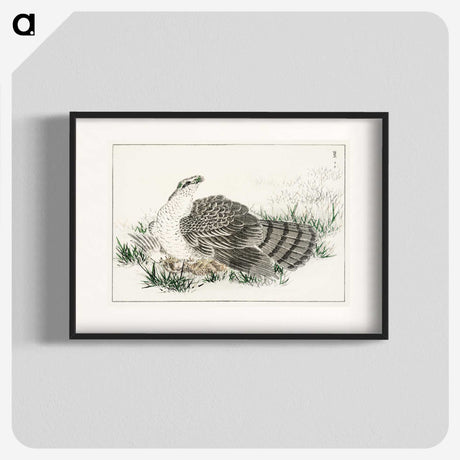 1-98_Pictorial-Monograph-of-Birds_blk