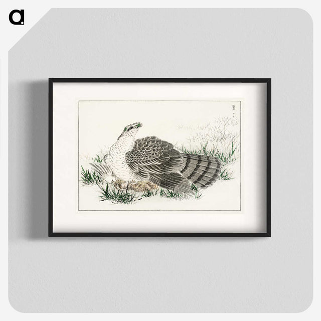 1-98_Pictorial-Monograph-of-Birds_blk