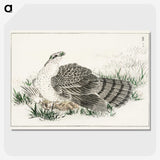 1-98_Pictorial-Monograph-of-Birds_picture-crop