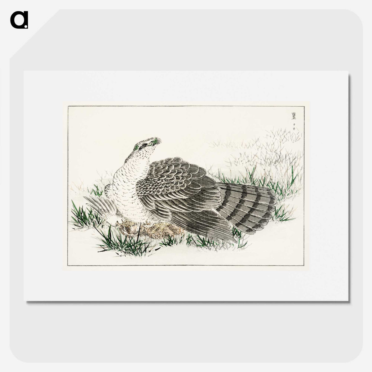 1-98_Pictorial-Monograph-of-Birds_picture