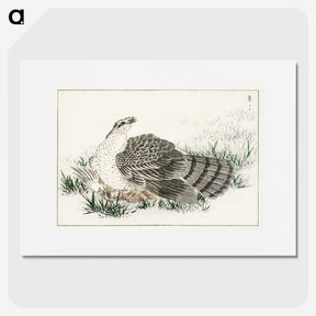 1-98_Pictorial-Monograph-of-Birds_picture
