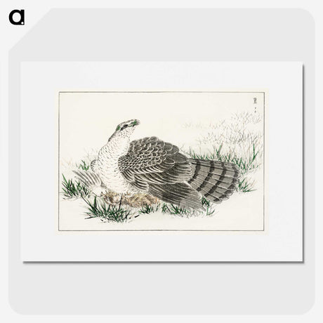 1-98_Pictorial-Monograph-of-Birds_picture