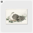 1-98_Pictorial-Monograph-of-Birds_postcard