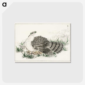 1-98_Pictorial-Monograph-of-Birds_postcard