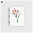 1-98_Pierre-Joseph-Redoute_memo