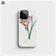 1-98_Pierre-Joseph-Redoute_phone