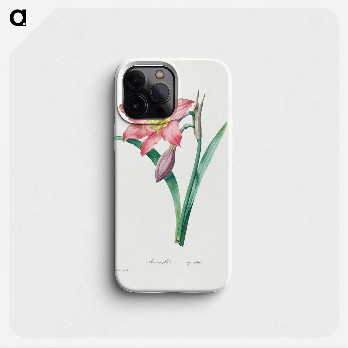 Amaryllis Equestre - ピエール ジョゼフ ルドゥーテ Phone Case.