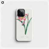 Amaryllis Equestre - ピエール ジョゼフ ルドゥーテ Phone Case.