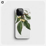 1-98_Pomona-Italiana_phone