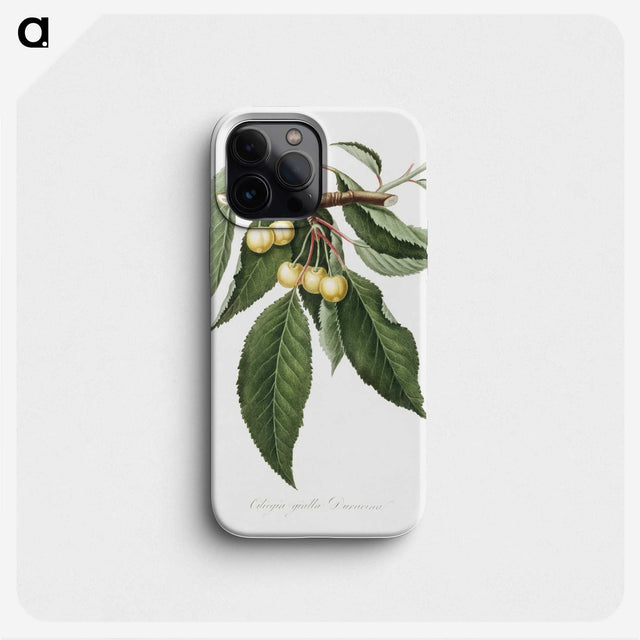 1-98_Pomona-Italiana_phone