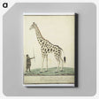 1-98_Robert-Jacob-Gordon_canvas