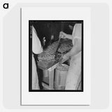 1-98_Russell-Lee_picture