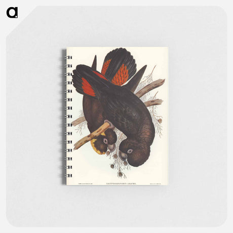 アートメモ帳-Leach's Cockatoo
 - オーストラリアの鳥 Memo.