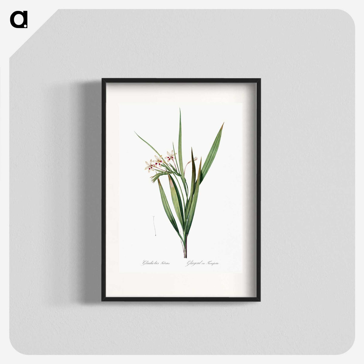 1-98_The-Lilies_blk