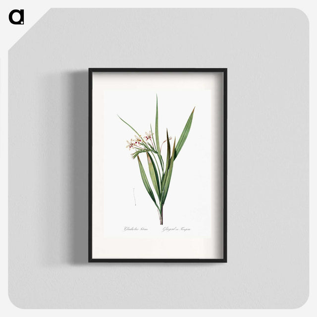 1-98_The-Lilies_blk