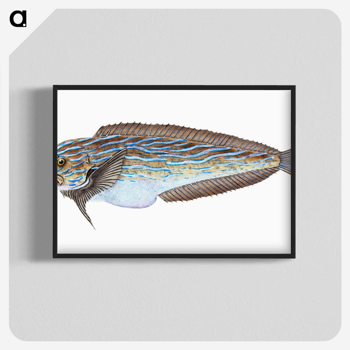 1-98_The-Natural-History-of-British-Fishes_blk-crop
