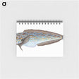 1-98_The-Natural-History-of-British-Fishes_memo