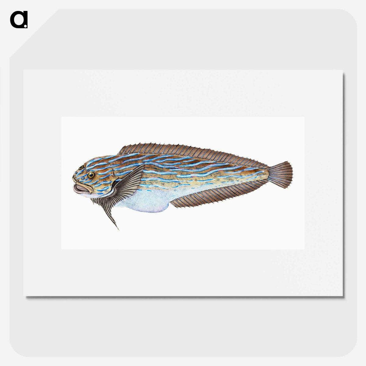 1-98_The-Natural-History-of-British-Fishes_picture