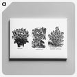 1-98_The-Open-Door-to-Independence_canvas