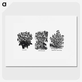 1-98_The-Open-Door-to-Independence_picture
