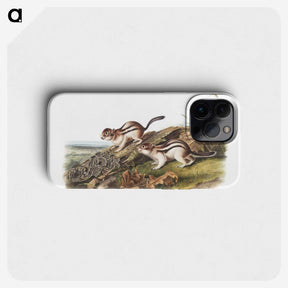 1-98_The-Viviparous-Quadrupeds_phone