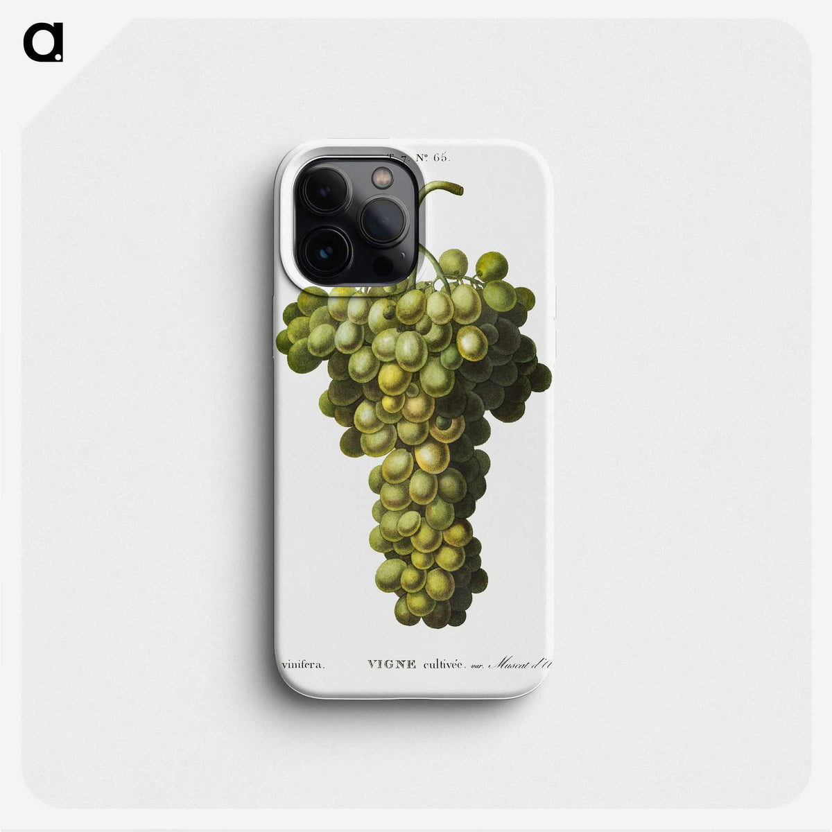 1-98_Treatise-on-Trees-and-Shrubs_phone