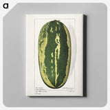 1-98_USDA-Watercolor-Fruit-Painting-Collection_canvas